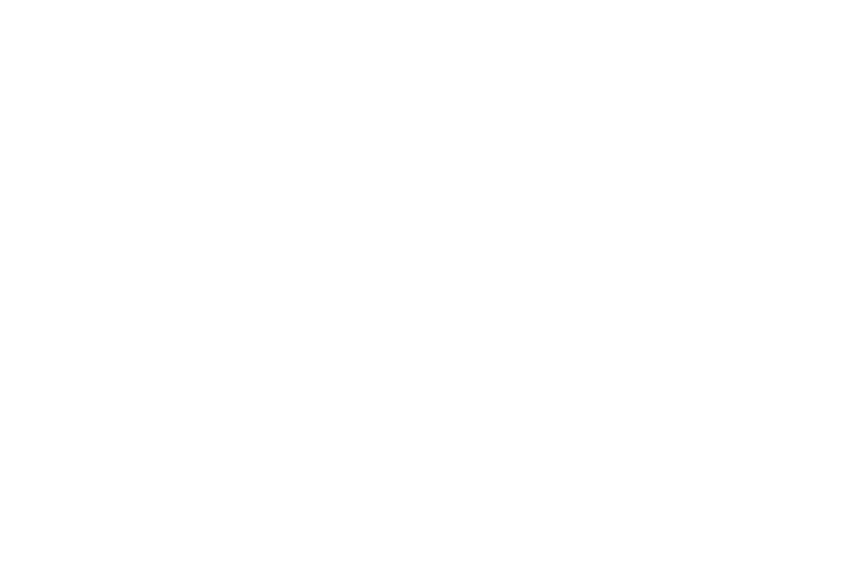 LIA Logo weiß